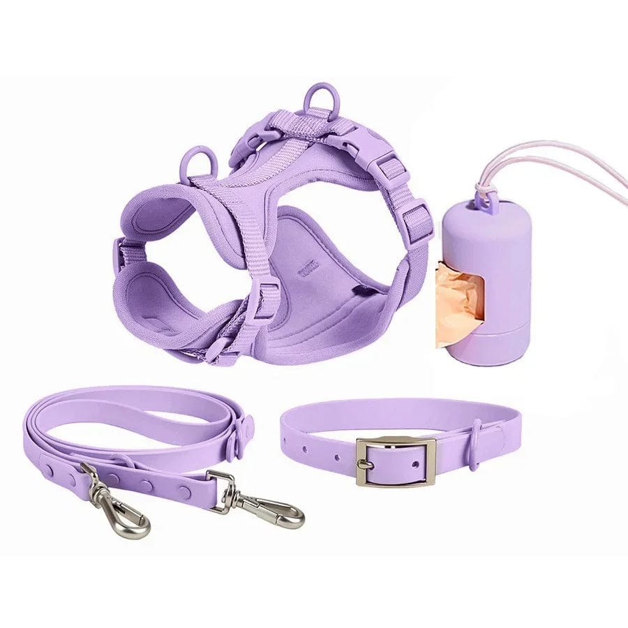 PetSafe žaismingas pavadėlis su priedais 4PCS Purple / XS