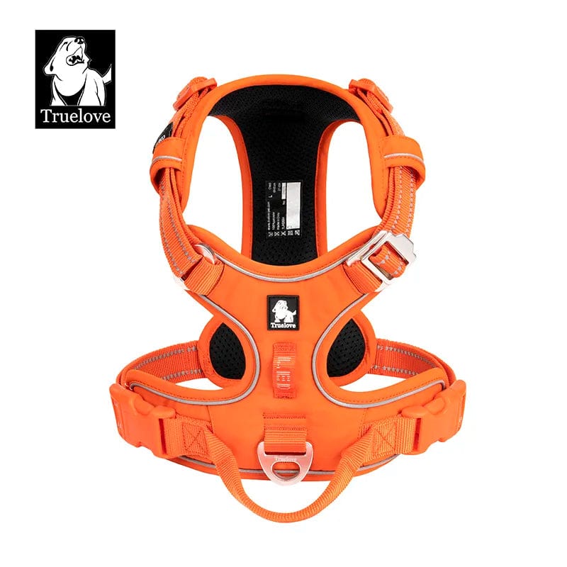 Tvirtos šuns petnešos su atšvaitais ORANGE 1 / XS