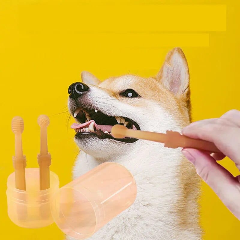 Silikoninis gyvūnų dantų šepetėlis Oranžinė