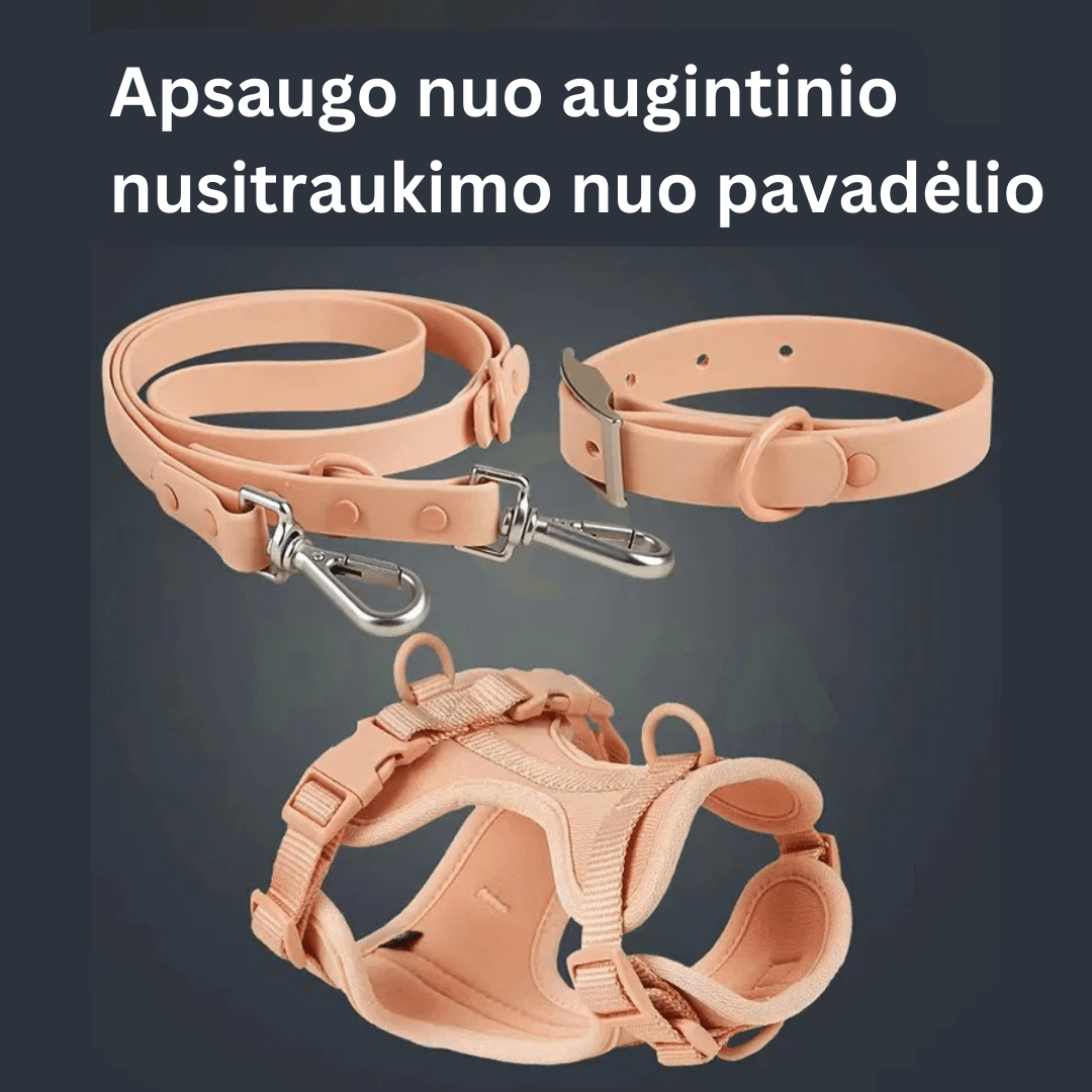 PetSafe žaismingas pavadėlis su priedais