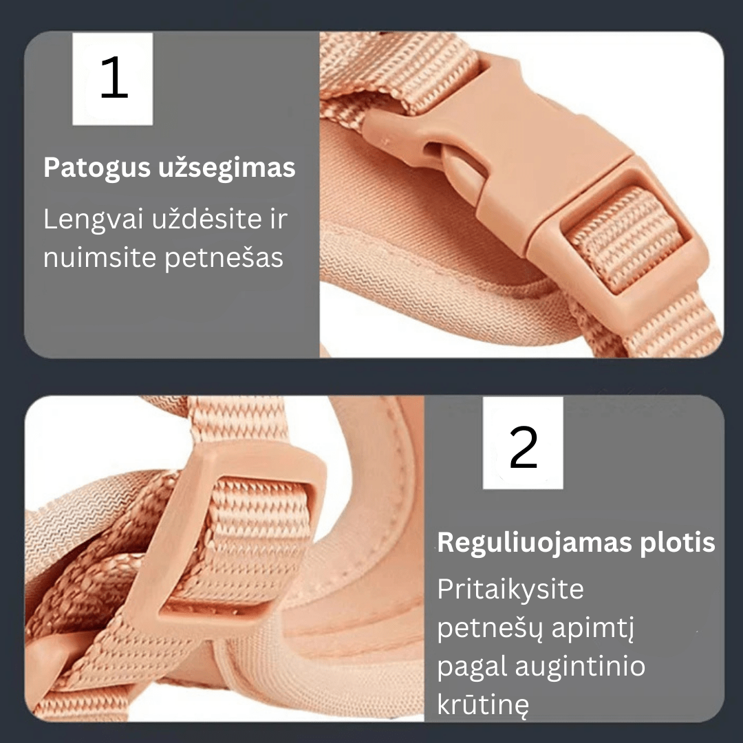 PetSafe žaismingas pavadėlis su priedais