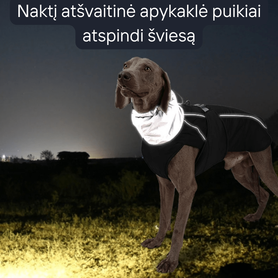 Šilta vidutinių ir didelių šunų liemenė su atšvaitu
