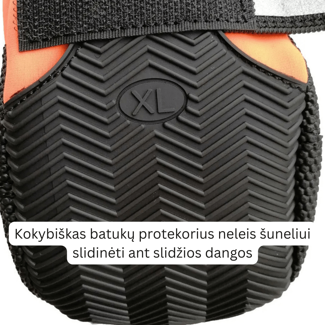 Šunų batukai su protektoriumi ir atšvaitais