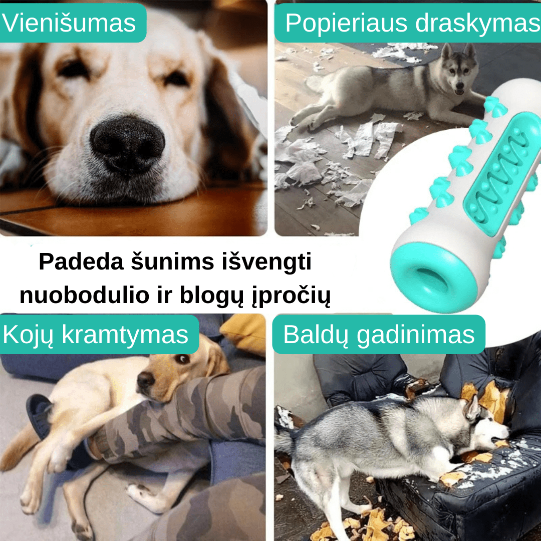 Šunų žaislas - kramtukas