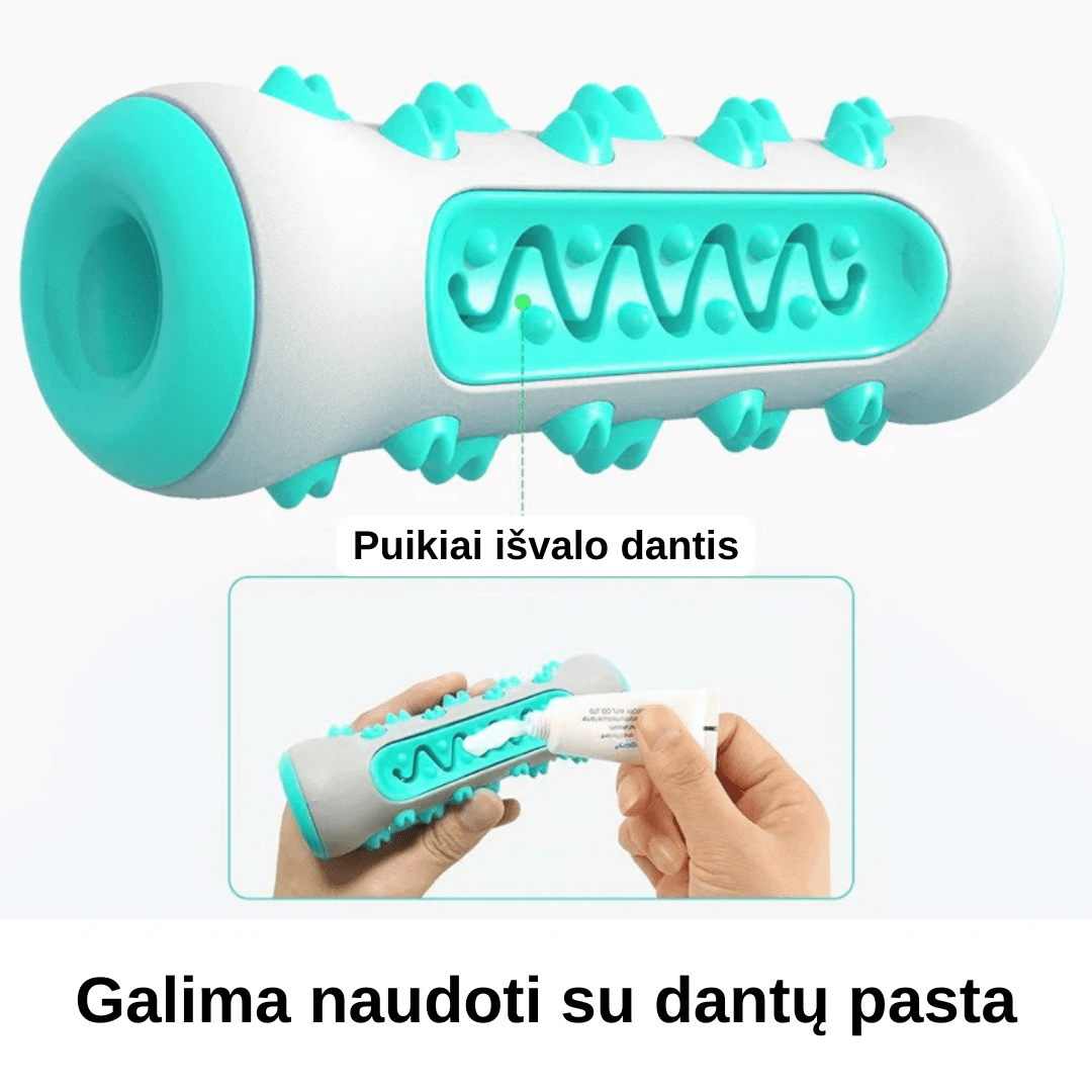 Šunų žaislas - kramtukas