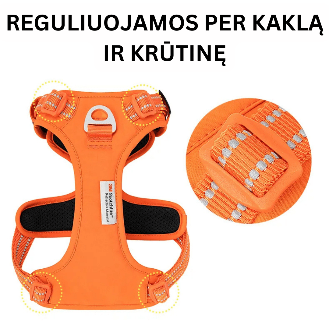 Tvirtos šuns petnešos su atšvaitais