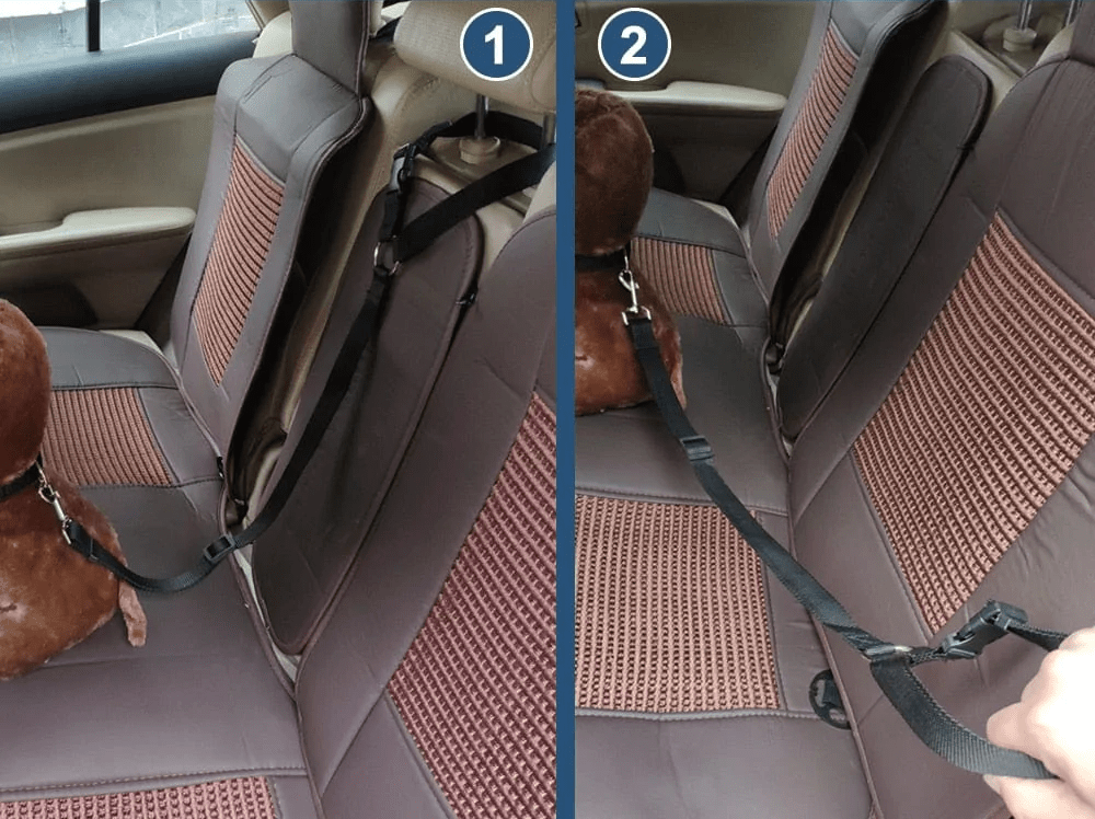 Automobilinis šuns saugos diržas-pavadėlis