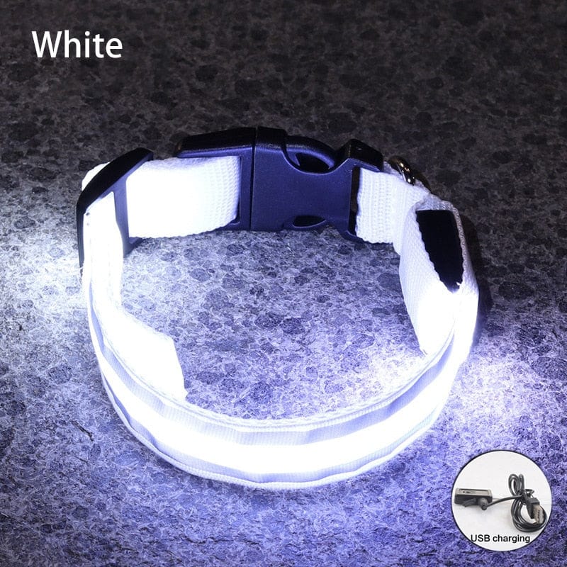 Šviečiantis LED Antkaklis Baltas / XS 28-38 cm