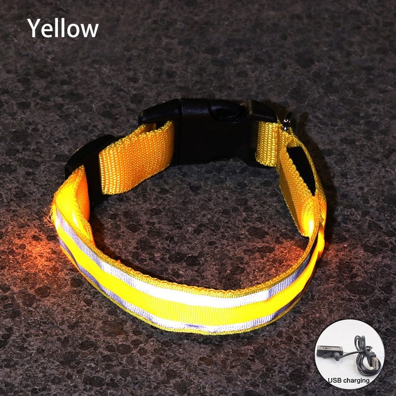 Šviečiantis LED Antkaklis Geltonas / XS 28-38 cm