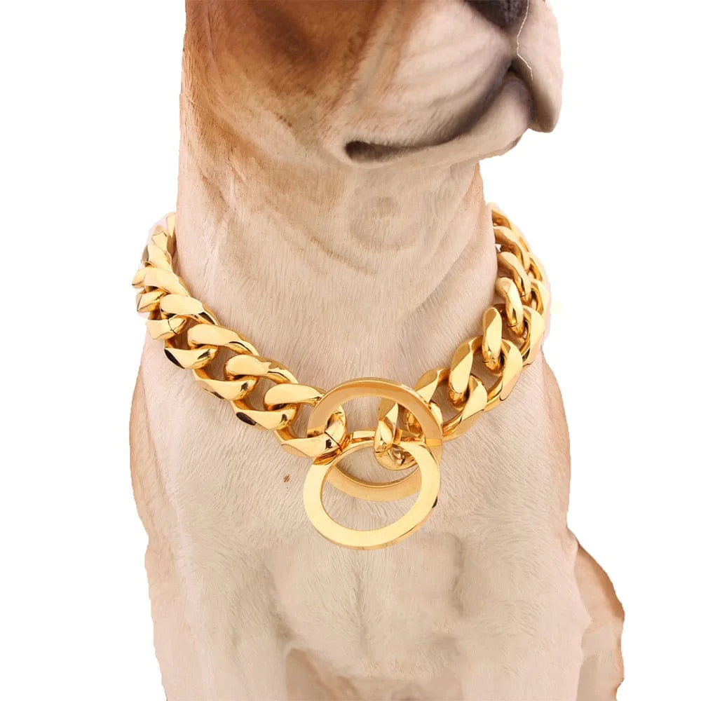 Tvirtas grandininis užveržiantis treniruočių antkaklis gold / 12 inches