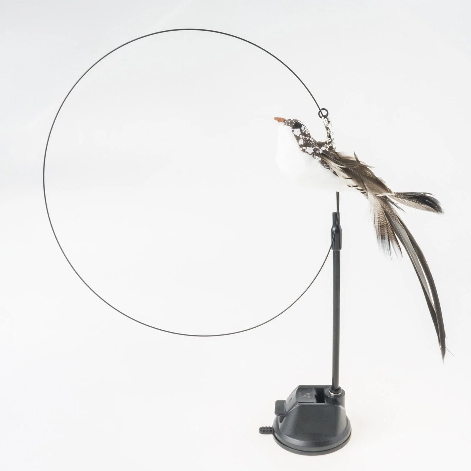 Judantis katės žaislas-gaudyklė Long tailed Bird Set
