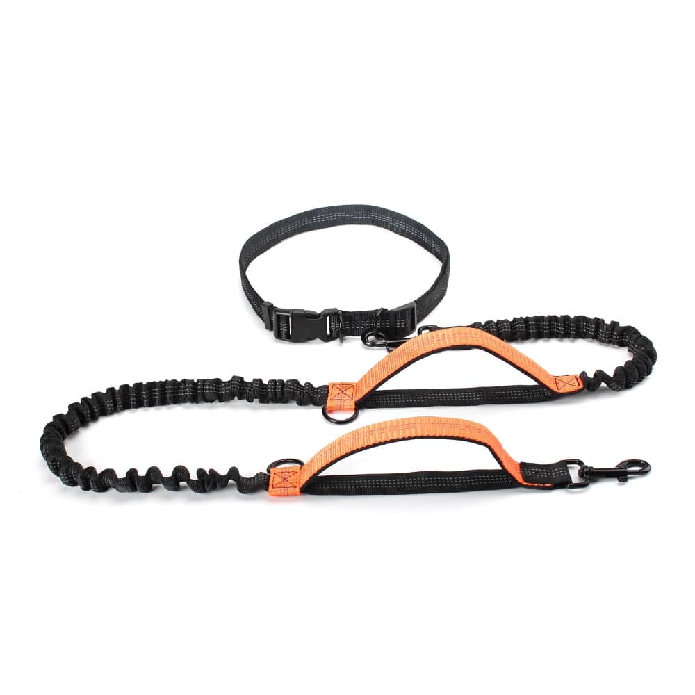 Susitraukiantis šuns pavadėlis bėgiojimui New-Orange
