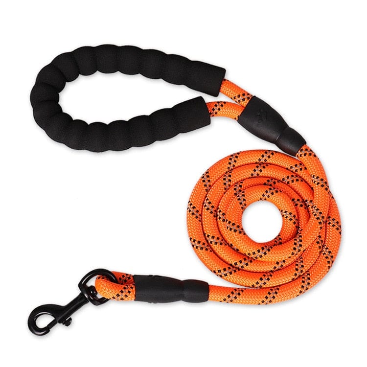 Tvirtas pavadėlis su atšvaito juostelėmis Orange / 0.8cm 150cm