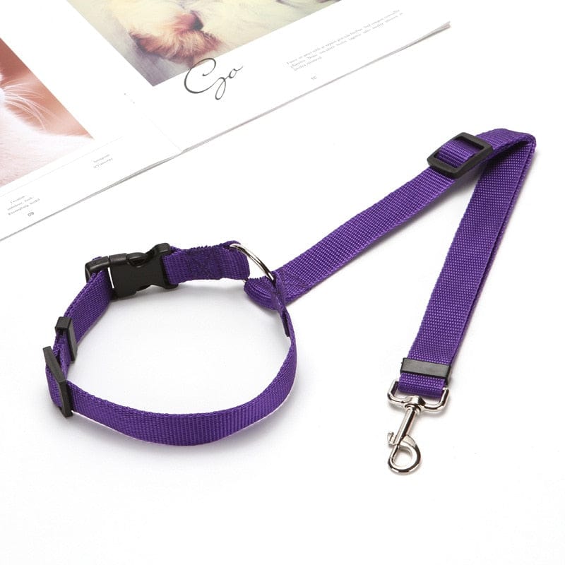 Automobilinis šuns saugos diržas-pavadėlis Purple