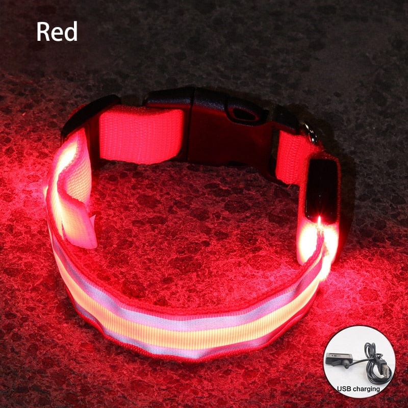 Šviečiantis LED Antkaklis Raudonas / XS 28-38 cm