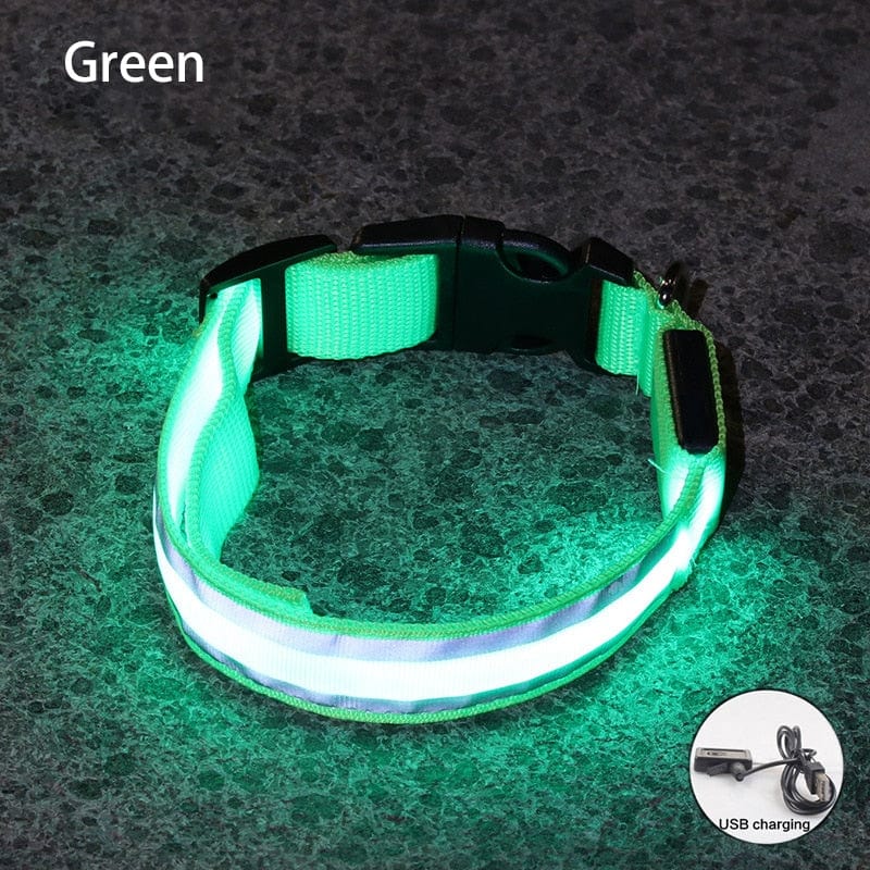 Šviečiantis LED Antkaklis Žalias / XS 28-38 cm