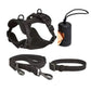 PetSafe žaismingas pavadėlis su priedais 4PCS Black / XS