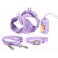 PetSafe žaismingas pavadėlis su priedais 4PCS Purple / XS