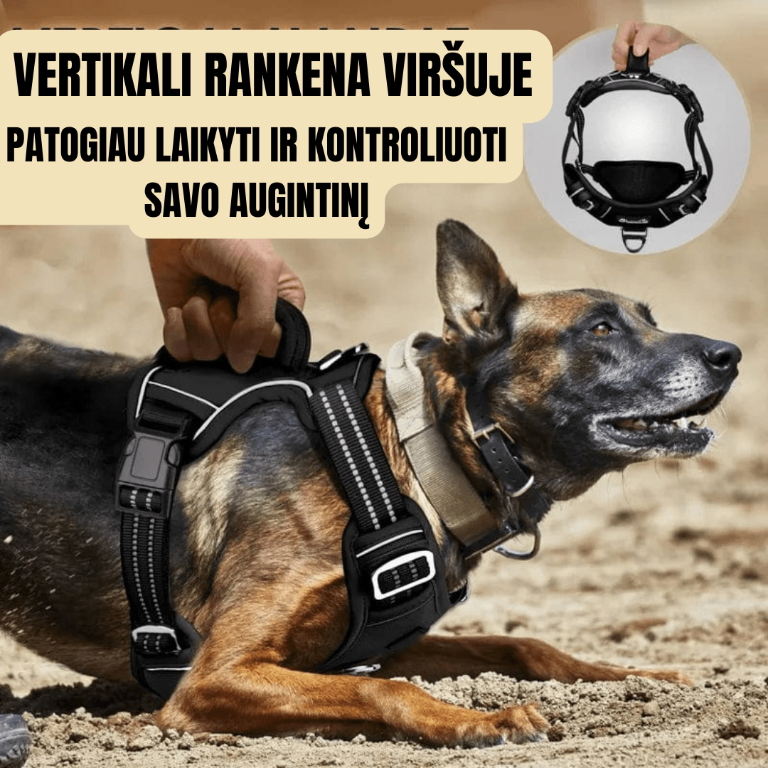 No pull™ itin tvirtos petnešos šunims