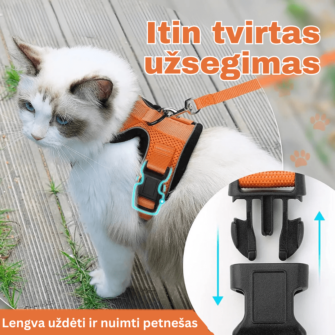 PetSmart tvirtas pavadėlis katėms