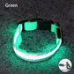 Šviečiantis LED Antkaklis Žalias / XS  28-38 cm